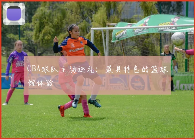 CBA球队主场巡礼：最具特色的篮球馆体验