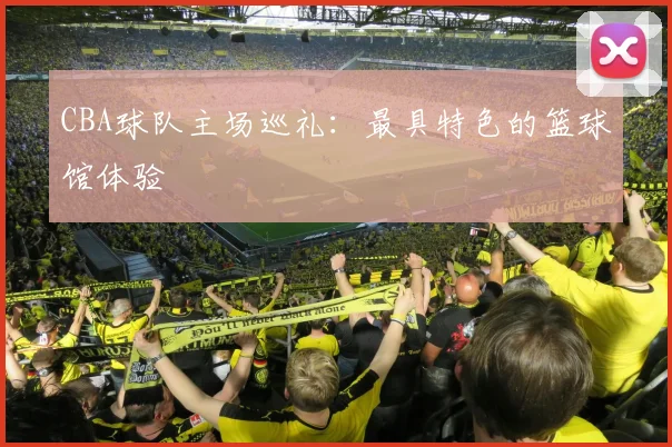 CBA球队主场巡礼:最具特色的篮球馆体验