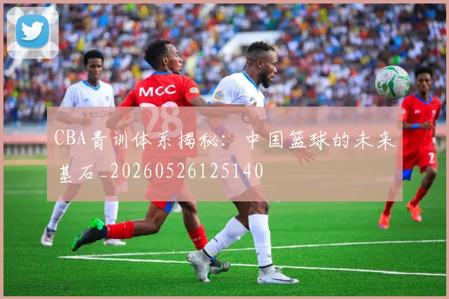 CBA青训体系揭秘:中国篮球的未来基石_20260526125140